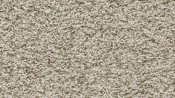 Ковролин Vorwerk Superior 1041 Vorwerk 8j88 фото 1 | FLOORDEALER