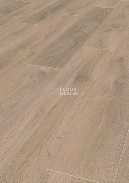 Ламинат Terhurne Classic Line 192мм 1382  Дуб Песочно - Коричневый  1101020826 фото 1 | FLOORDEALER