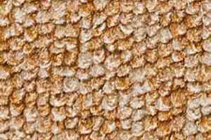 Ковролин Infloor Campo 250 фото  | FLOORDEALER