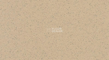 Линолеум Tarasafe Standard 7312_Dune фото 1 | FLOORDEALER