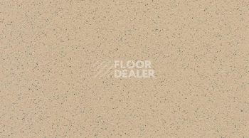 Линолеум Gerflor Tarasafe Standard 7312_Dune фото 1 | FLOORDEALER