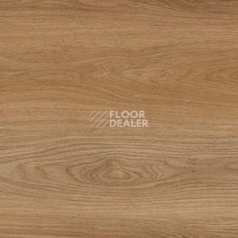 Wood Resist Eco FDYE001   Manor Oak фото 2 | FLOORDEALER