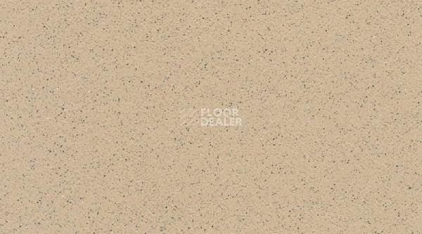 Линолеум Tarasafe Standard 7312_Dune фото 1 | FLOORDEALER