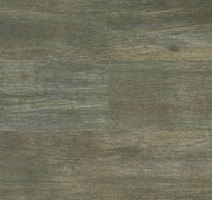 Линолеум Polyflor Expona Wood 6133 фото 1 | FLOORDEALER