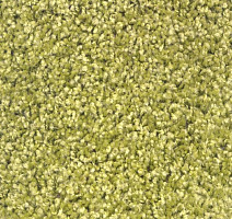 Ковролин Зартекс Фортуна Фортуна 033 Зеленый фото 1 | FLOORDEALER