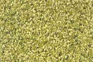 Ковролин Зартекс Фортуна Фортуна 033 Зеленый фото  | FLOORDEALER