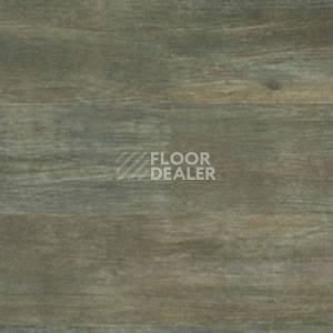 Линолеум Polyflor Expona Wood 6133 фото 1 | FLOORDEALER