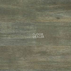 Линолеум Polyflor Expona Wood 6133 фото 1 | FLOORDEALER