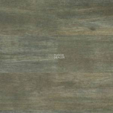 Polyflor Expona Wood 6133 фото 1 | FLOORDEALER