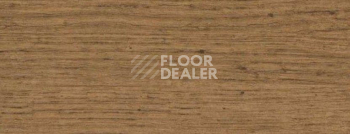 Плинтус Dollken Cubu Decor 60 2324 goldeiche rus фото 2 | FLOORDEALER