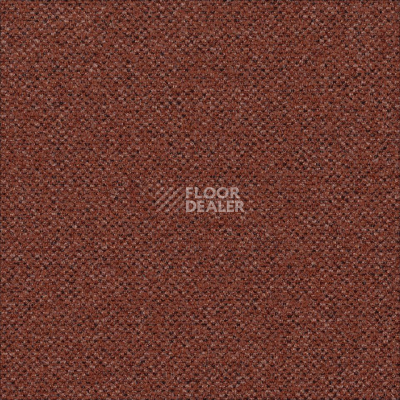 Ковровая плитка Desso Solid ac 73 5031 фото 1 | FLOORDEALER