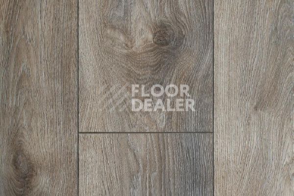 Ламинат My Floor Residence 10мм ML1011 Дуб Макро Серый фото 1 | FLOORDEALER