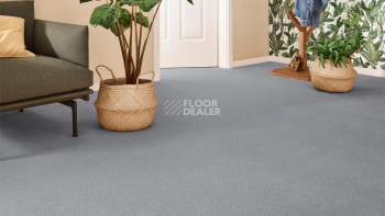 Vorwerk Superior 1071 Vorwerk 5y26 фото 2 | FLOORDEALER