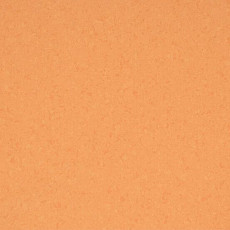 Линолеум Mipolam BioControl Performance 6025 Tangelo фото 1 | FLOORDEALER