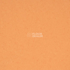 Линолеум Mipolam BioControl Performance 6025 Tangelo фото 1 | FLOORDEALER