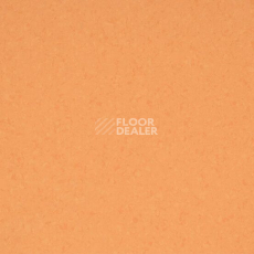 Линолеум Gerflor Mipolam BioControl Performance 6025 Tangelo фото 1 | FLOORDEALER