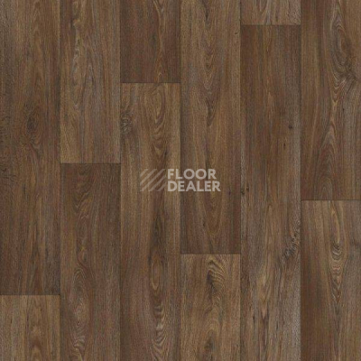 Линолеум Tarkett Leader BAILYE1 фото 1 | FLOORDEALER