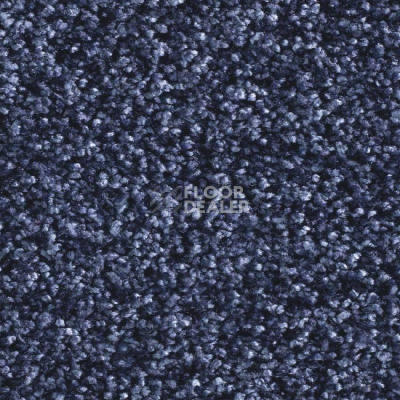Ковролин Balsan Feelings 190 фото 1 | FLOORDEALER