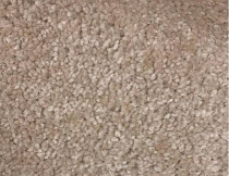 Ковролин SAG San-Marino 2010 фото 1 | FLOORDEALER