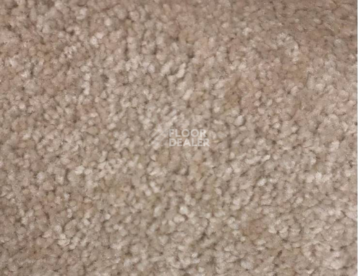 Ковролин SAG San-Marino 2010 фото 1 | FLOORDEALER