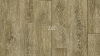 Линолеум Tarkett Gladiator DIAKIRI 2 фото 1 | FLOORDEALER