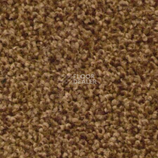 Ковровая плитка Ruscarpettiles Riva 240 фото 1 | FLOORDEALER