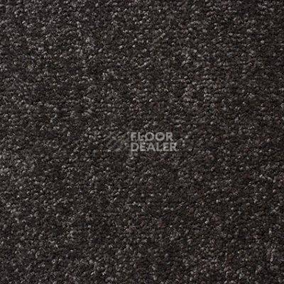 Ковролин Ideal Echo 166 фото 1 | FLOORDEALER