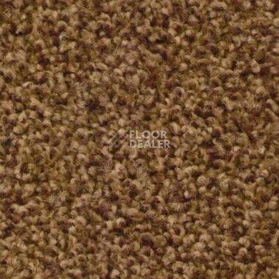 Ковровая плитка Ruscarpettiles Riva 240 фото 1 | FLOORDEALER