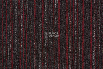 Betap Baltic 7745 фото 1 | FLOORDEALER
