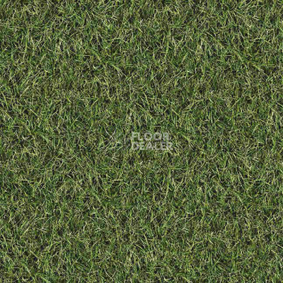 Ковролин Halbmond Pure Elements 13835 фото 1 | FLOORDEALER