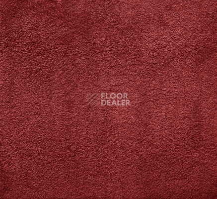 Ковролин AW Silk 19 фото 1 | FLOORDEALER