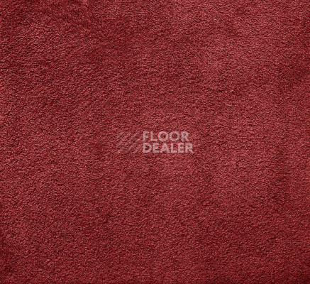 Ковролин AW Silk 19 фото 1 | FLOORDEALER
