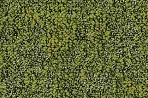 Ковровая плитка Desso Granite 7021 фото  | FLOORDEALER