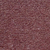 Ковролин Serene Beaulieu of America 21 фото 1 | FLOORDEALER