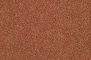 Ковровая плитка Interface Sherbet Fizz 5557 фото  | FLOORDEALER