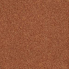 Ковровая плитка Interface Sherbet Fizz 5557 фото 1 | FLOORDEALER