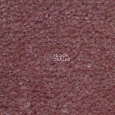 Ковролин Serene Beaulieu of America 21 фото 1 | FLOORDEALER