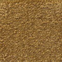 Ковролин Emphatic Beaulieu of America 56713 фото 1 | FLOORDEALER