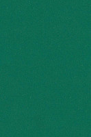 Линолеум Forbo Marmoleum Solid Piano 3649 - 364935 greenwood фото 1 | FLOORDEALER