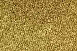 Ковролин Edel Ambition 146 фото  | FLOORDEALER