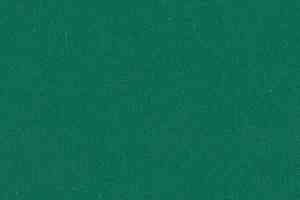 Линолеум Forbo Marmoleum Solid Piano 3649 - 364935 greenwood фото  | FLOORDEALER