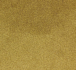 Ковролин Edel Ambition 146 фото 1 | FLOORDEALER