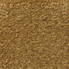 Ковролин Emphatic Beaulieu of America 56713 фото 1 | FLOORDEALER