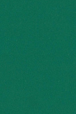 Линолеум Forbo Marmoleum Solid Piano 3649 - 364935 greenwood фото 1 | FLOORDEALER