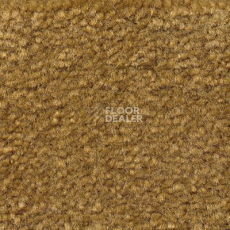 Ковролин Emphatic Beaulieu of America 56713 фото 1 | FLOORDEALER