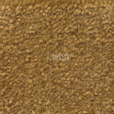 Ковролин Emphatic Beaulieu of America 56713 фото 1 | FLOORDEALER