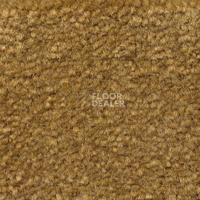 Ковролин Emphatic Beaulieu of America 56713 фото 1 | FLOORDEALER