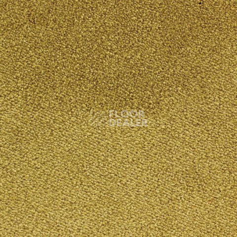 Ковролин Edel Ambition 146 фото 1 | FLOORDEALER
