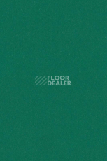 Линолеум Forbo Marmoleum Solid Piano 3649 - 364935 greenwood фото 1 | FLOORDEALER