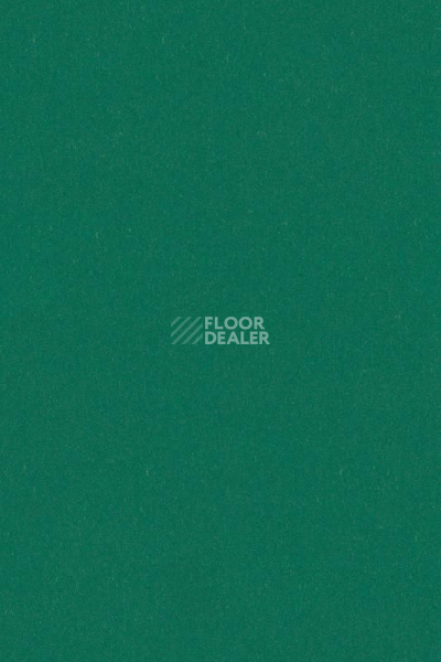 Линолеум Forbo Marmoleum Solid Piano 3649 - 364935 greenwood фото 1 | FLOORDEALER
